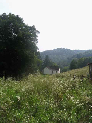 farm house garden