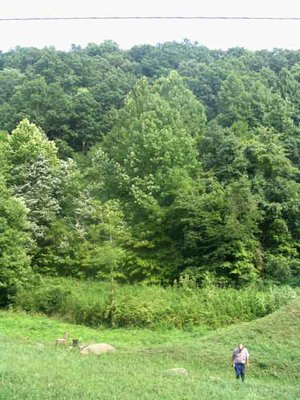 indian burial mound